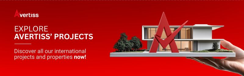 explore avertiss projects