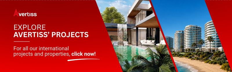 explore avertiss projects