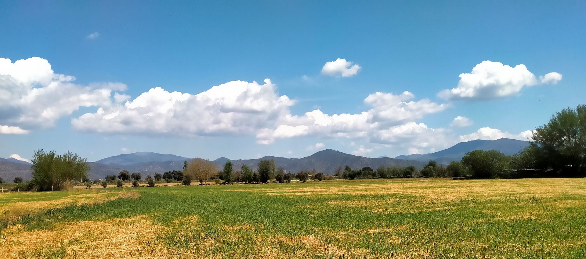 Bayındır'da Kadastro Yolu Olan Satılık Tarla