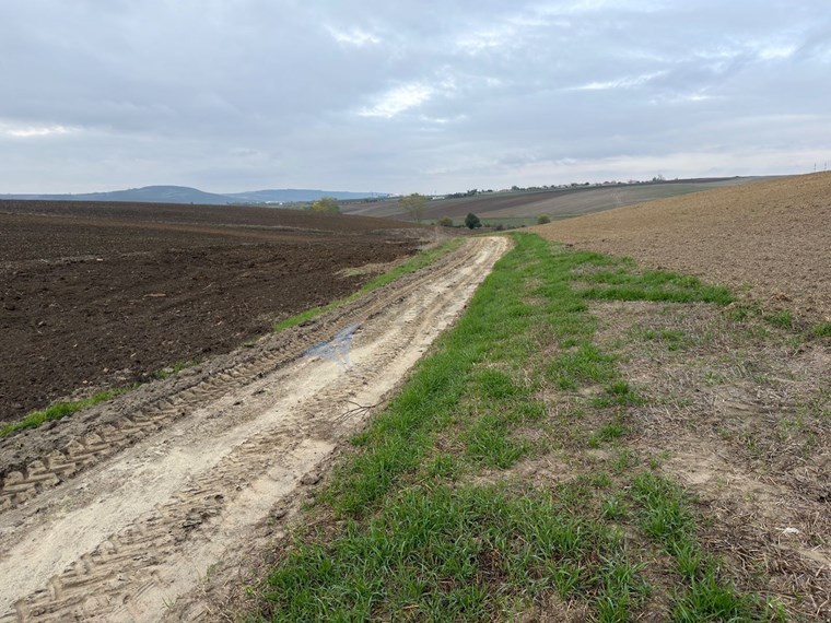 TEKIRDAĞ SÜLEYMANPAŞA OSMANLI KÖYÜ’NDE 89.240 M² SATILIK TARLA