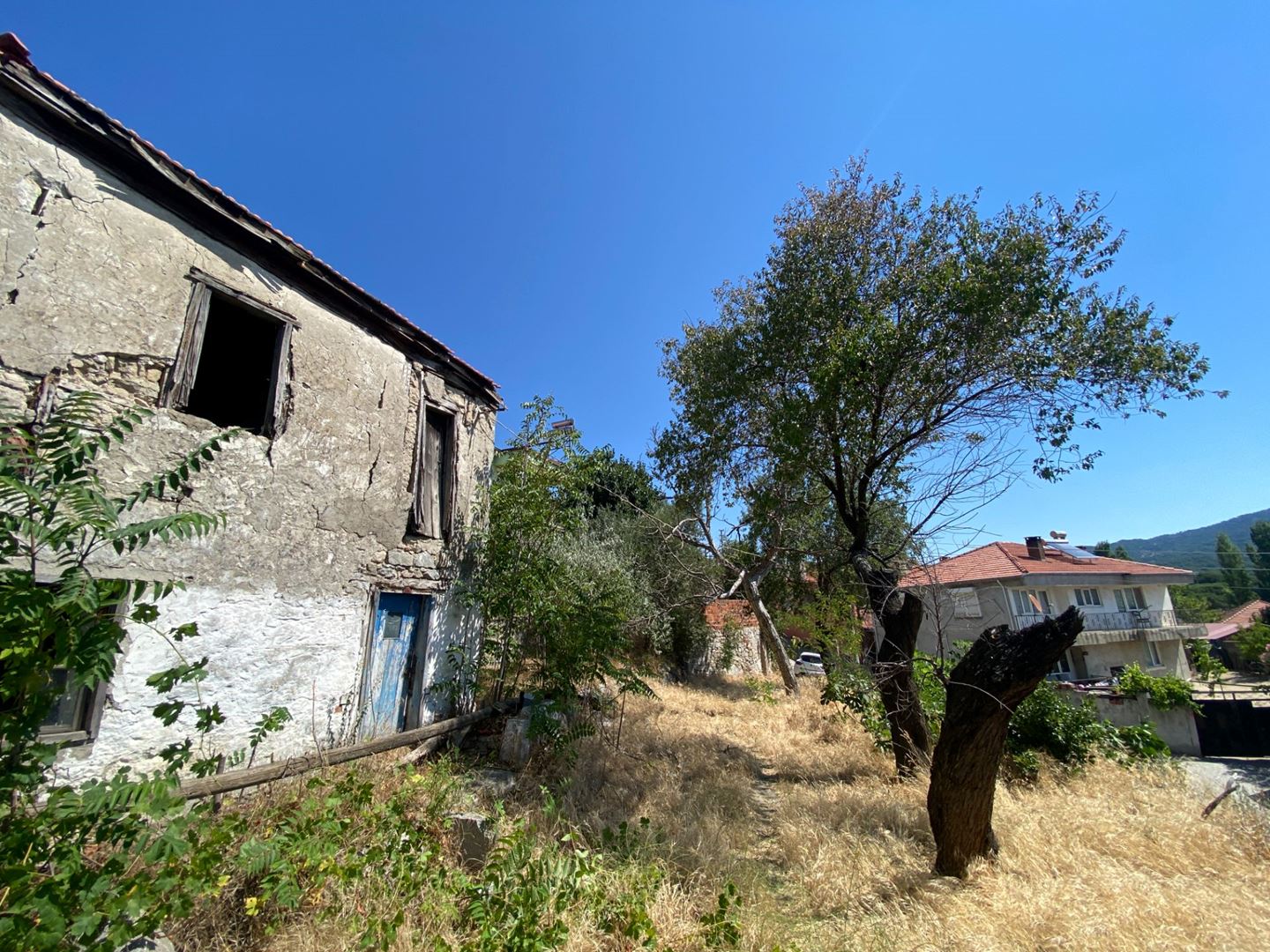 Property-photo