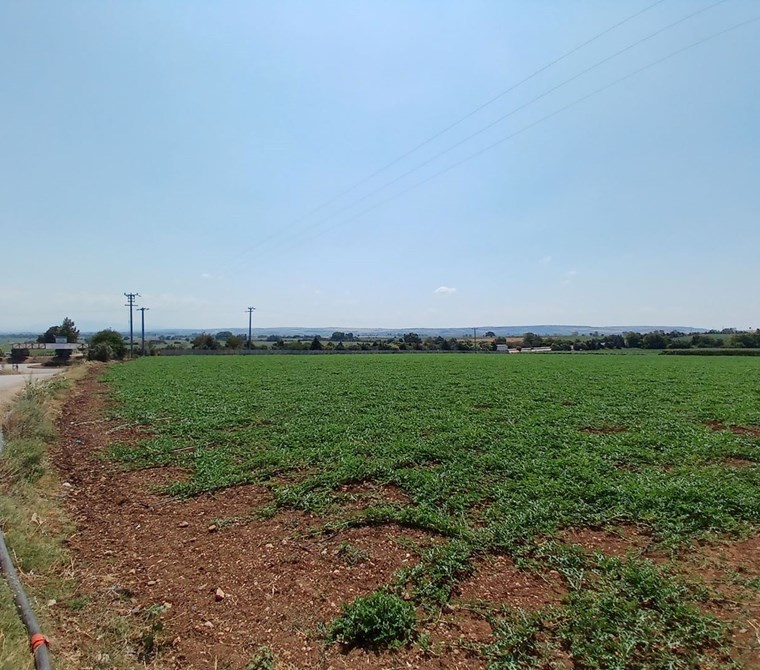 Bursa Karacabey Arız Köyü Giriş Kavşağında 22.750 m2 Satılık Arsa