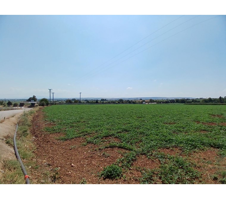 Bursa Karacabey Arız Köyü Giriş Kavşağında 22.750 m2 Satılık Arsa