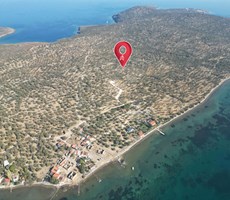 ALTIN EMLAKTAN AYVALIK CUNDA ADASINDA SATILIK 6850 M2 ZEYTİNLİK