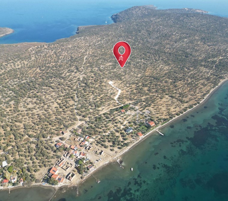 ALTIN EMLAKTAN AYVALIK CUNDA ADASINDA SATILIK 6850 M2 ZEYTİNLİK