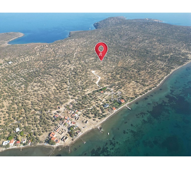 ALTIN EMLAKTAN AYVALIK CUNDA ADASINDA SATILIK 6850 M2 ZEYTİNLİK