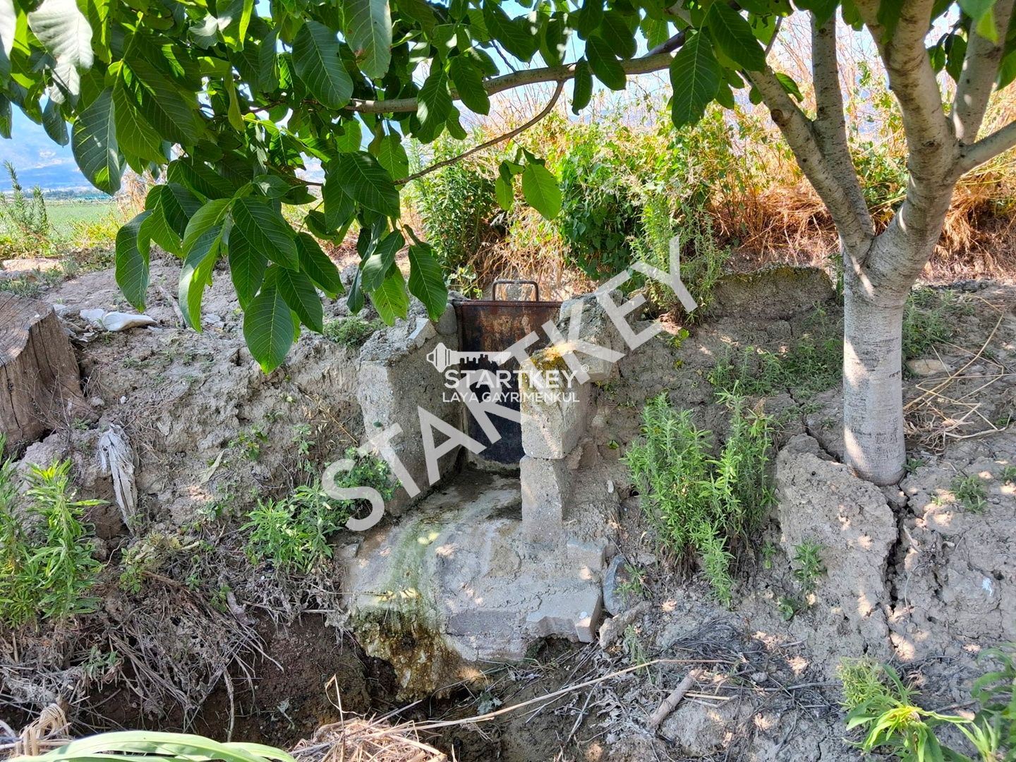 Property-photo