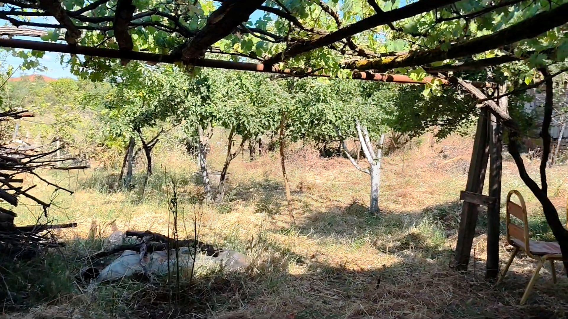 Property-photo