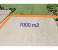 MUĞLA ORTACA FEVZİYE'DE SATILIK 7.000 M² TEK TAPU KUPON TARLA – YERLEŞİK ALAN İÇİNDE YATIRIM FIRSATI