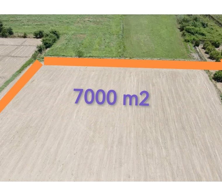 MUĞLA ORTACA FEVZİYE'DE SATILIK 7.000 M² TEK TAPU KUPON TARLA – YERLEŞİK ALAN İÇİNDE YATIRIM FIRSATI