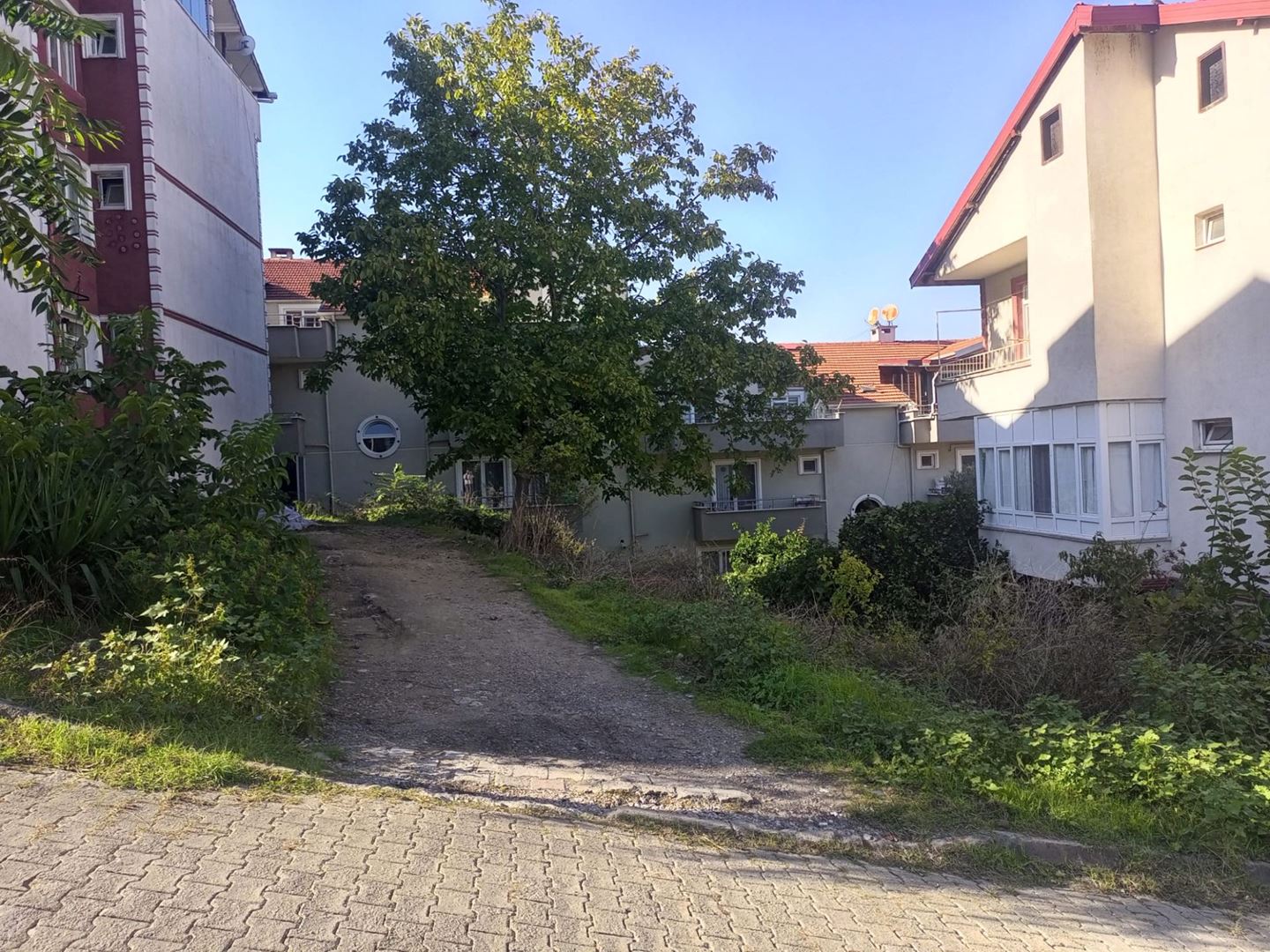 Property-photo