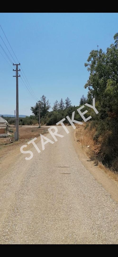 Property-photo