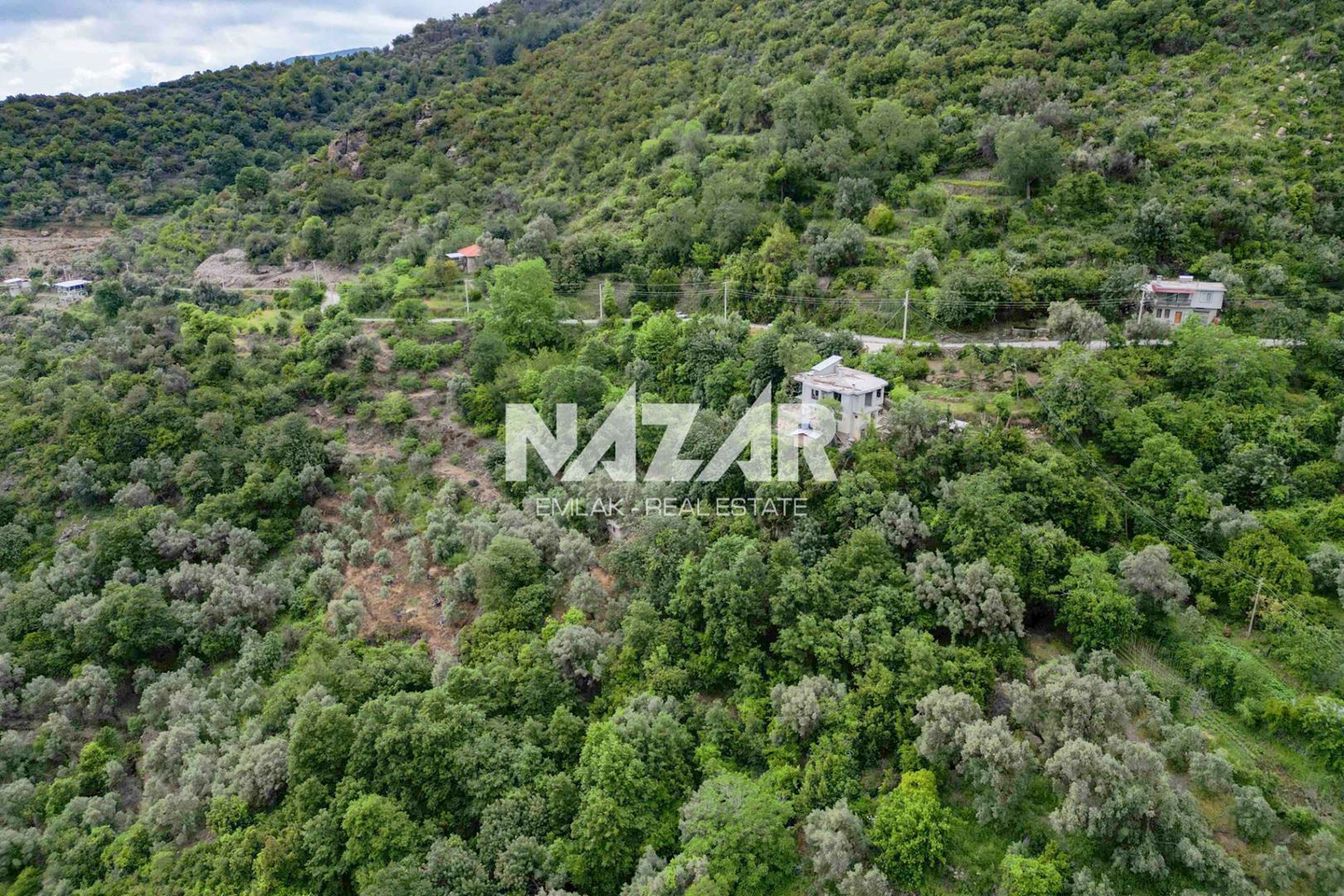 Property-photo