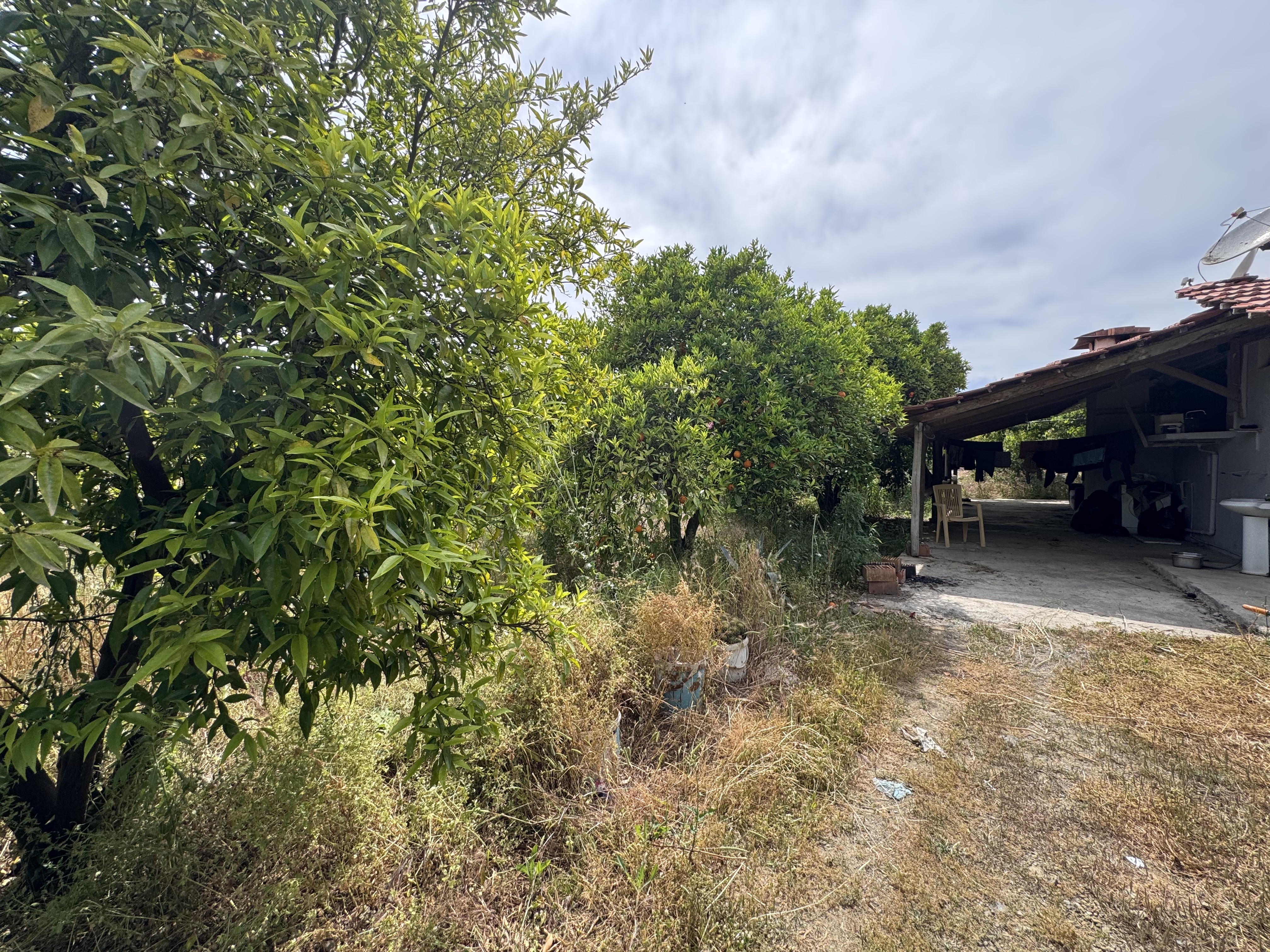 Property-photo