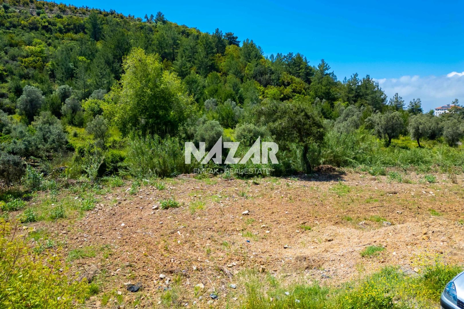 Property-photo