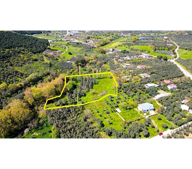 CM GROUP INVEST-Çuğra Mevkiinde Yerleşim Yerine Yakın Zeytinlik
