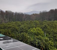 köyceğiz toparlarda satılık 6024 m2 2b arazisi