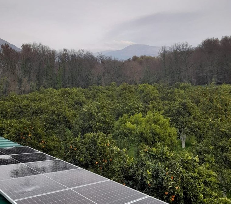 köyceğiz toparlarda satılık 6024 m2 2b arazisi