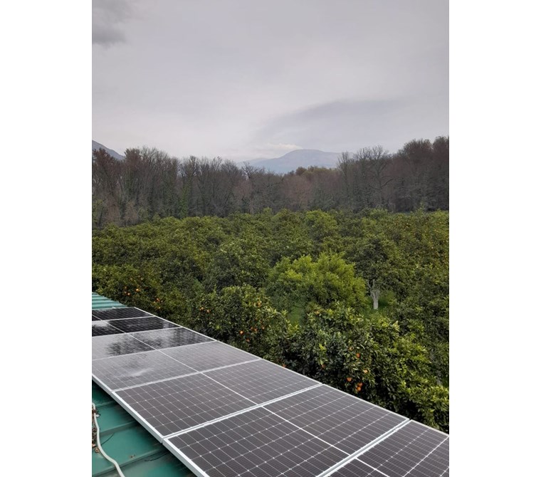 köyceğiz toparlarda satılık 6024 m2 2b arazisi