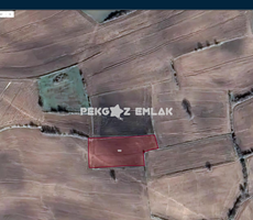 EDİRNE HAVSA NAİPYUSUF KÖYÜ’NDE SATILIK YATIRIMLIK 1.920 m² ARAZİ!