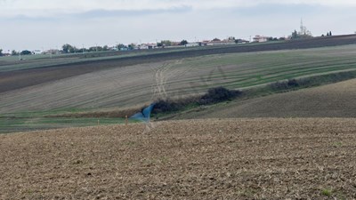 TEKIRDAĞ SÜLEYMANPAŞA OSMANLI KÖYÜ’NDE 89.240 M² SATILIK TARLA