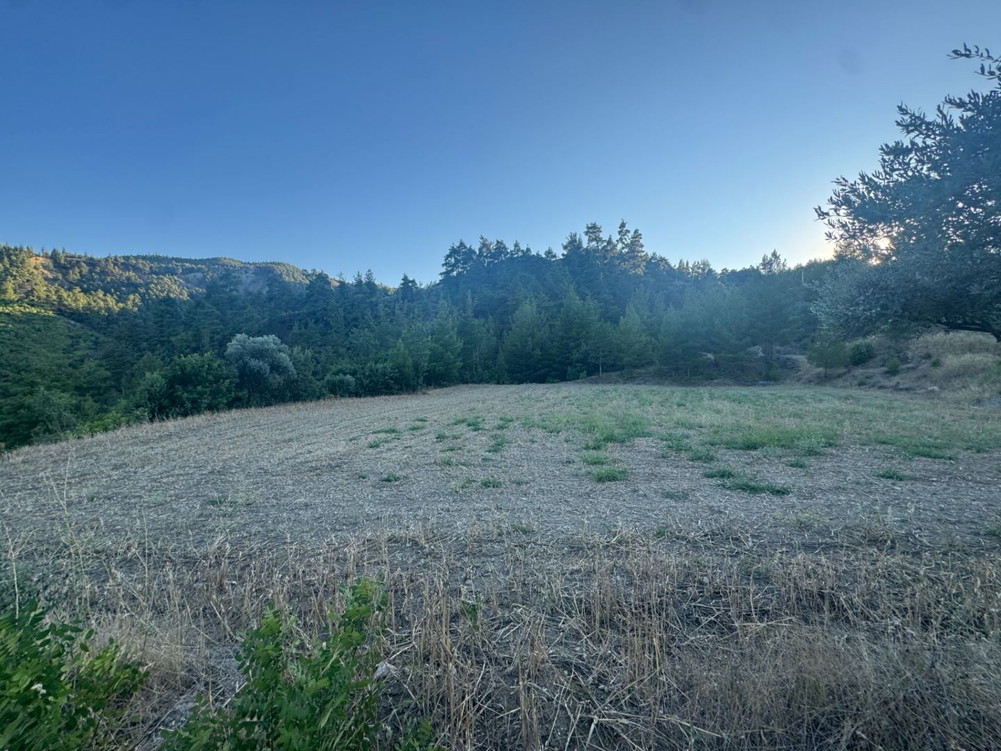 Property-photo