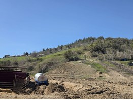 KARAİSALI KUZGUN DA SATILIK 60 DÖNÜM ZEYTİNLİK VE İKİ KATLI EV