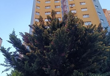 BEYLİKDÜZÜ BARIŞ MAHALLESİ MİGROS ARKASI SATILIK GENİŞ 3+1 DAİRE