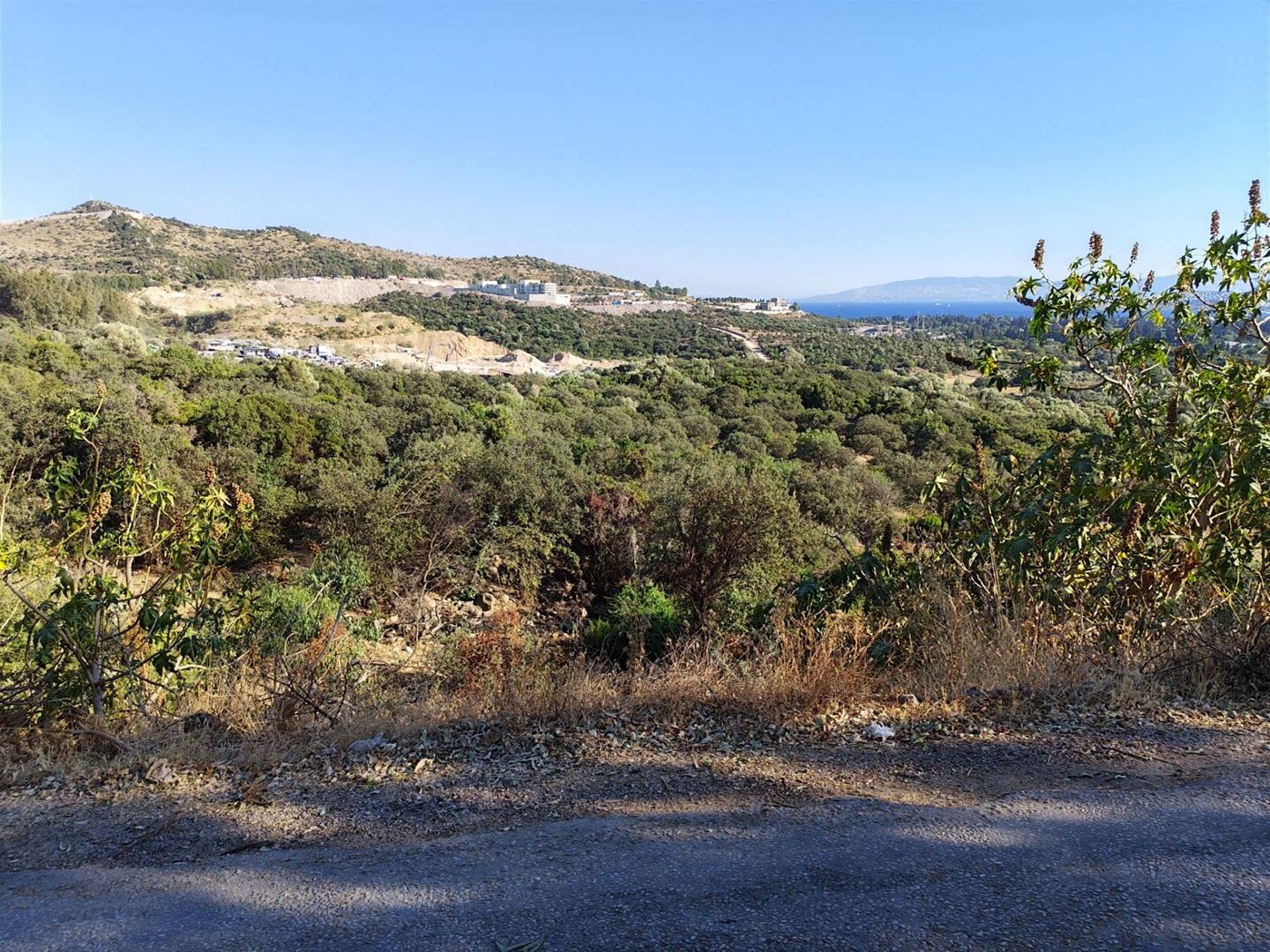Property-photo