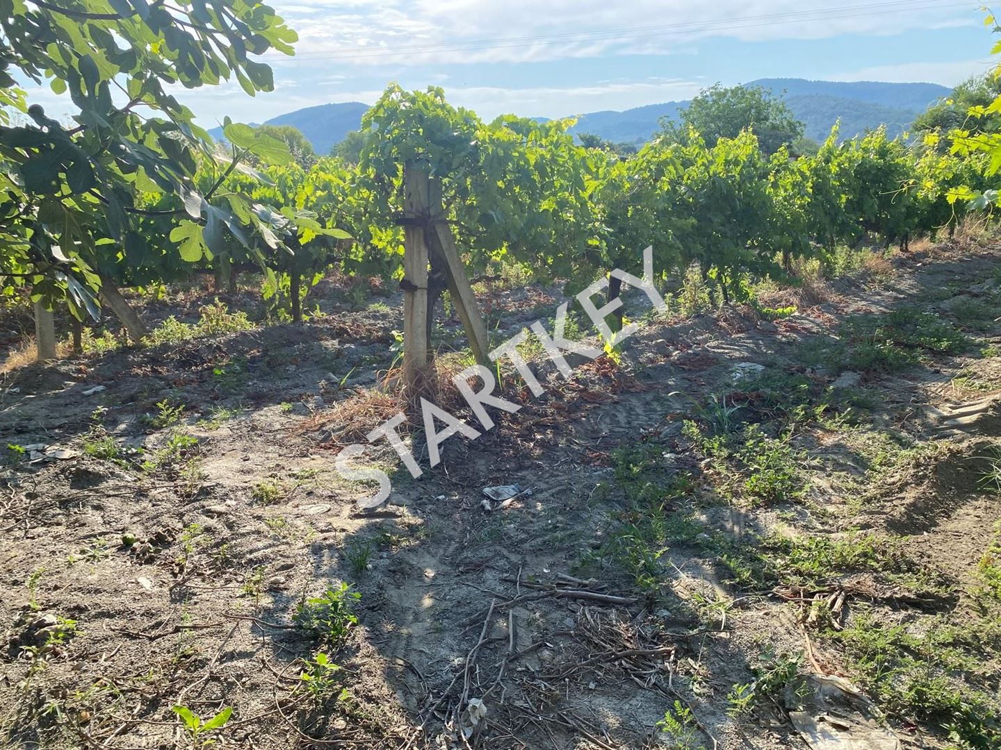 Property-photo