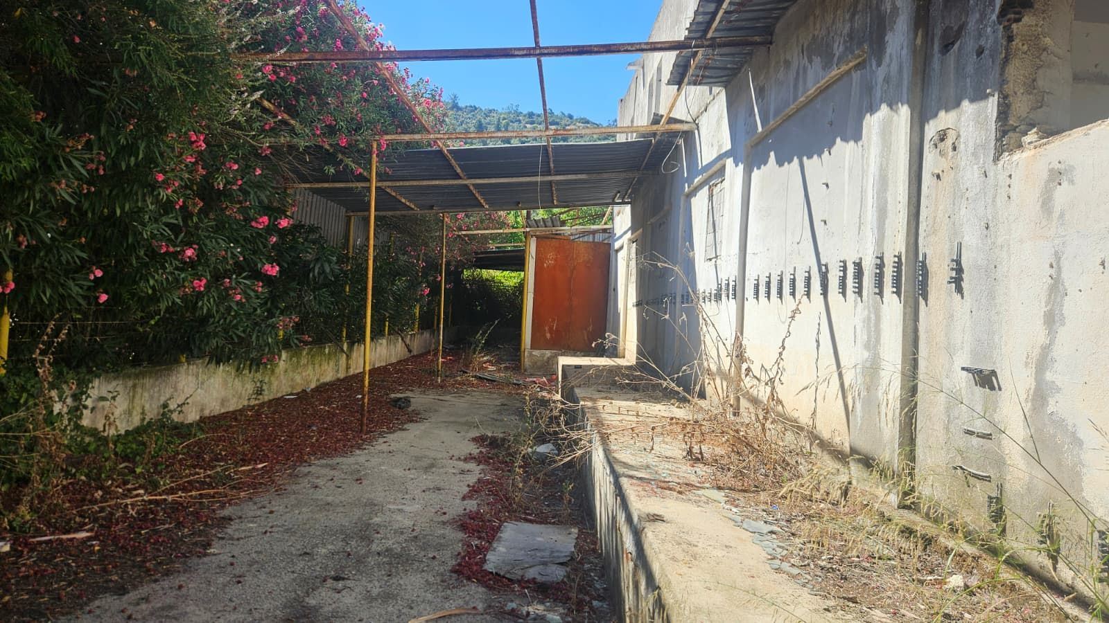Property-photo