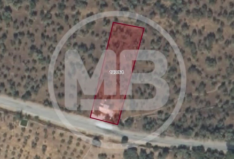 Muğla Milas Bafa'da Yola Cepheli 1757 M² Satılık Zeytinlik