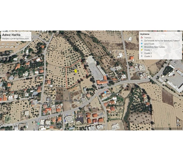 MİNERALİKÖY'DE SATILIK 1338m2 TARLA VE 35 ZEYTİN AGACI