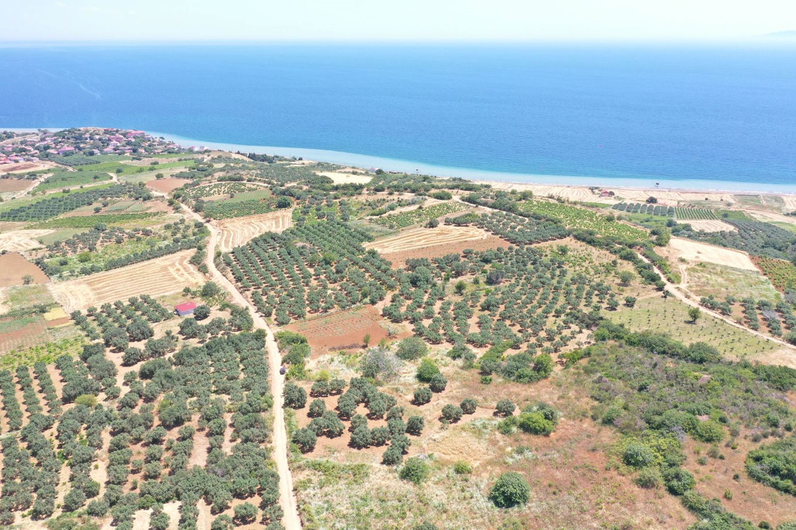 Property-photo