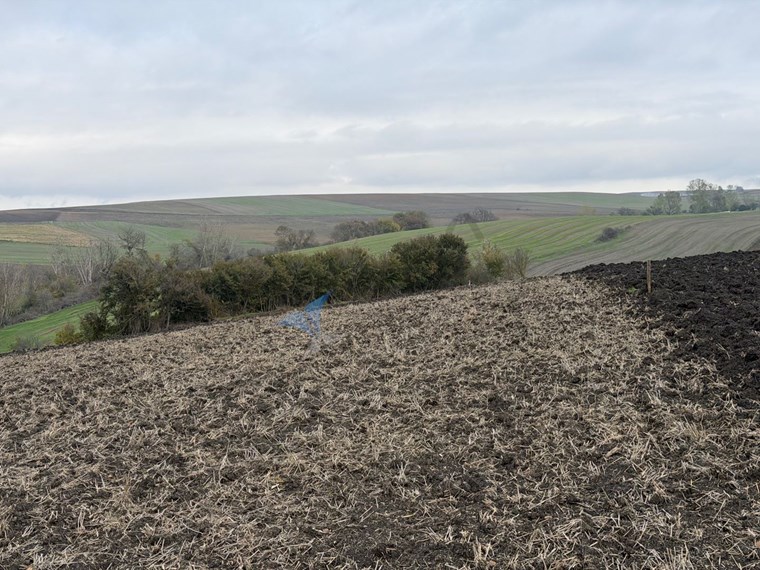TEKIRDAĞ SÜLEYMANPAŞA OSMANLI KÖYÜ’NDE 89.240 M² SATILIK TARLA
