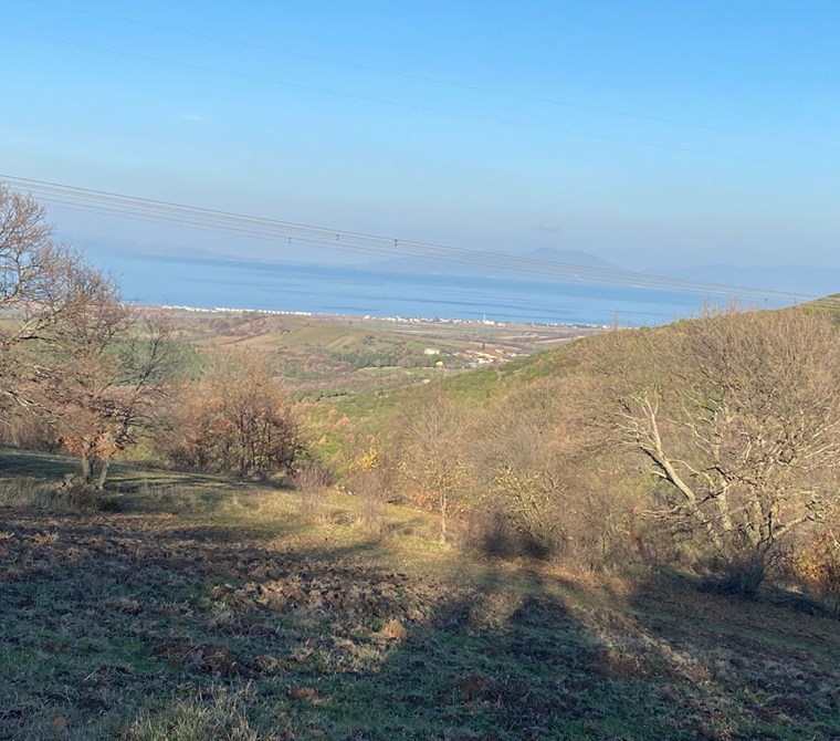 ÇANAKKALE BİGA İLYASALAN KÖYÜNDE 3042 m2 SATILIK TARLA