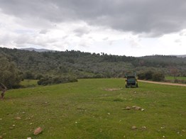 Bodrum Mumcularda baraj manzaralı 10.000m2 satılık tarla