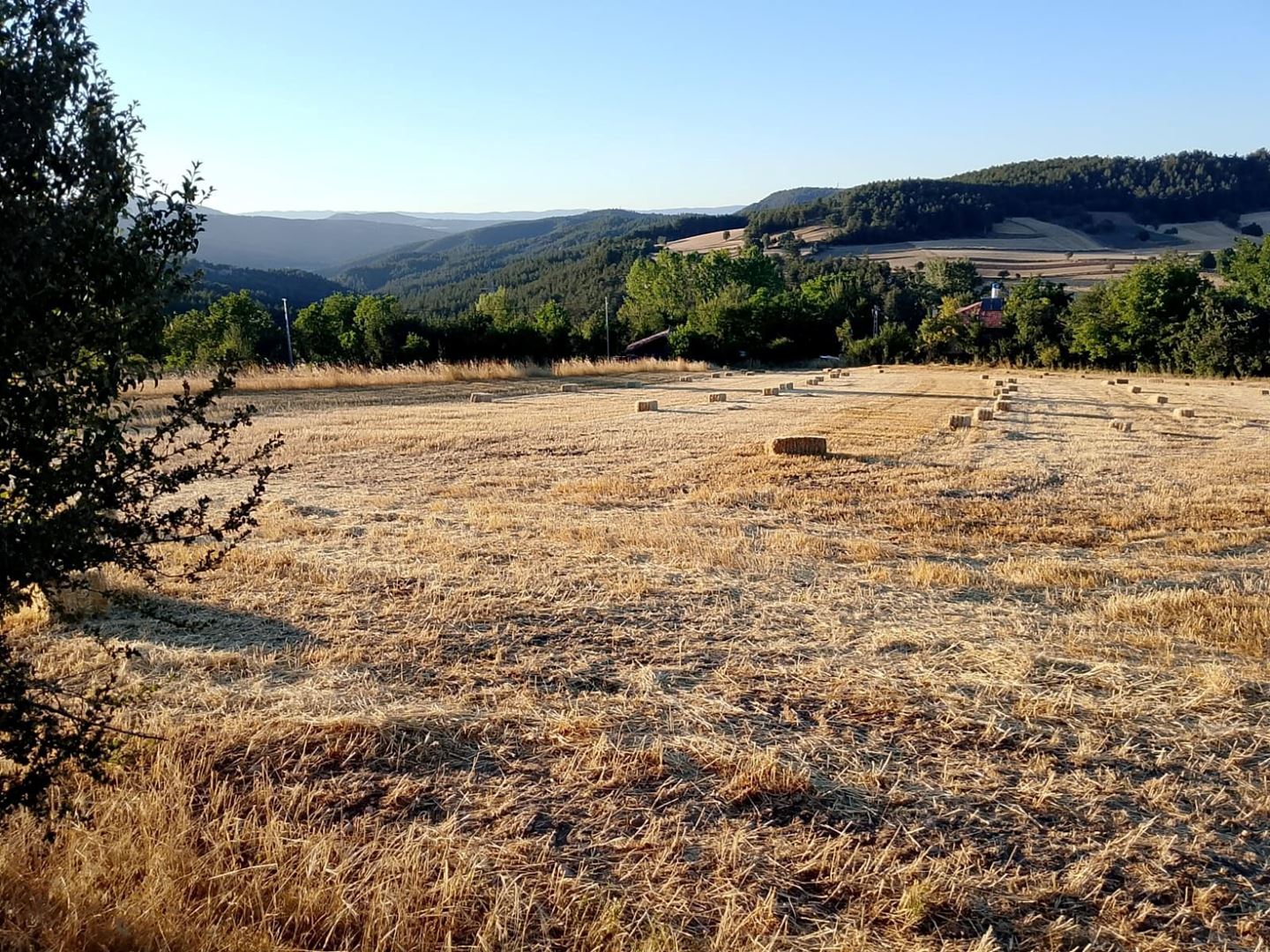 ŞENER GYD'DEN KASTAMONU MERKEZ BAHADIR KÖYÜNDE YATIRIMLIK7.447m²