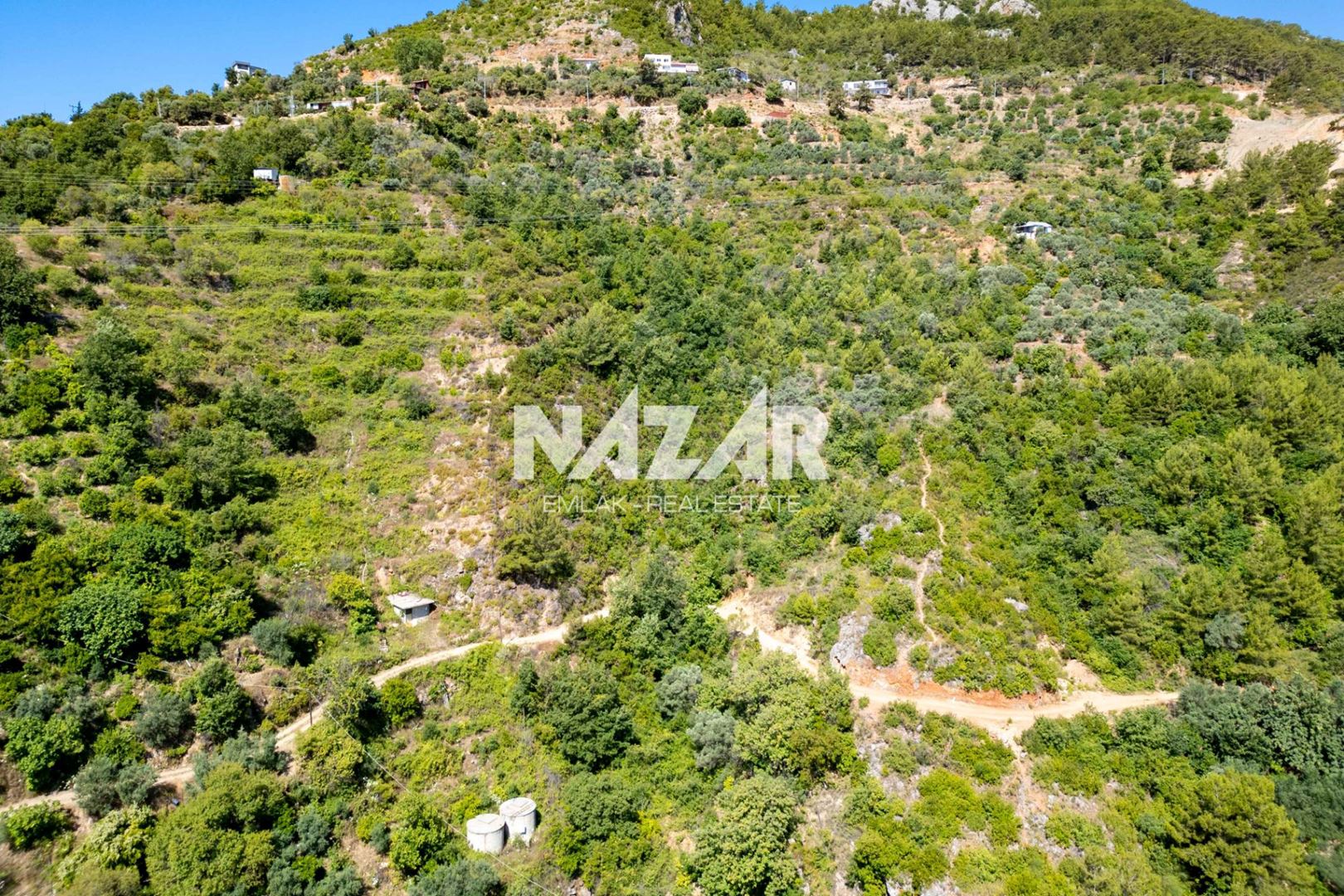 Property-photo