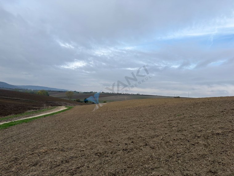 TEKIRDAĞ SÜLEYMANPAŞA OSMANLI KÖYÜ’NDE 89.240 M² SATILIK TARLA