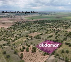 AKDAMAR - DÜVER MH. KADASTRO YOLU OLAN 3.350m² Bakımlı Bağ