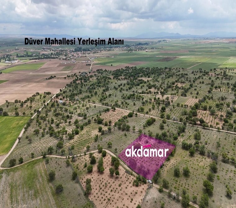 AKDAMAR - DÜVER MH. KADASTRO YOLU OLAN 3.350m² Bakımlı Bağ