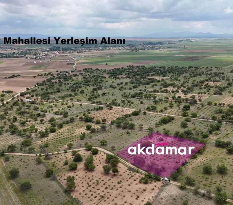 AKDAMAR - DÜVER MH. KADASTRO YOLU OLAN 3.350m² Bakımlı Bağ
