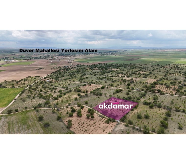 AKDAMAR - DÜVER MH. KADASTRO YOLU OLAN 3.350m² Bakımlı Bağ