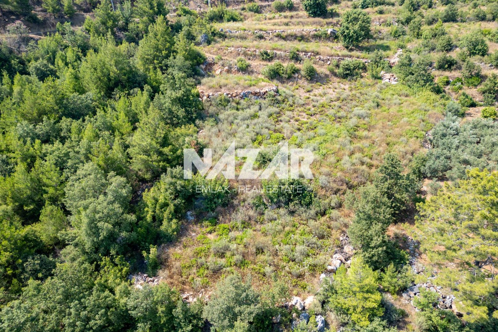 Property-photo