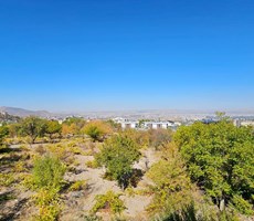 AKDAMAR - BECEN MAHALLESİNDE MANZARALI BAKIMLI BAĞ