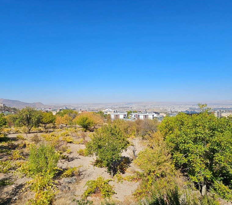 AKDAMAR - BECEN MAHALLESİNDE MANZARALI BAKIMLI BAĞ