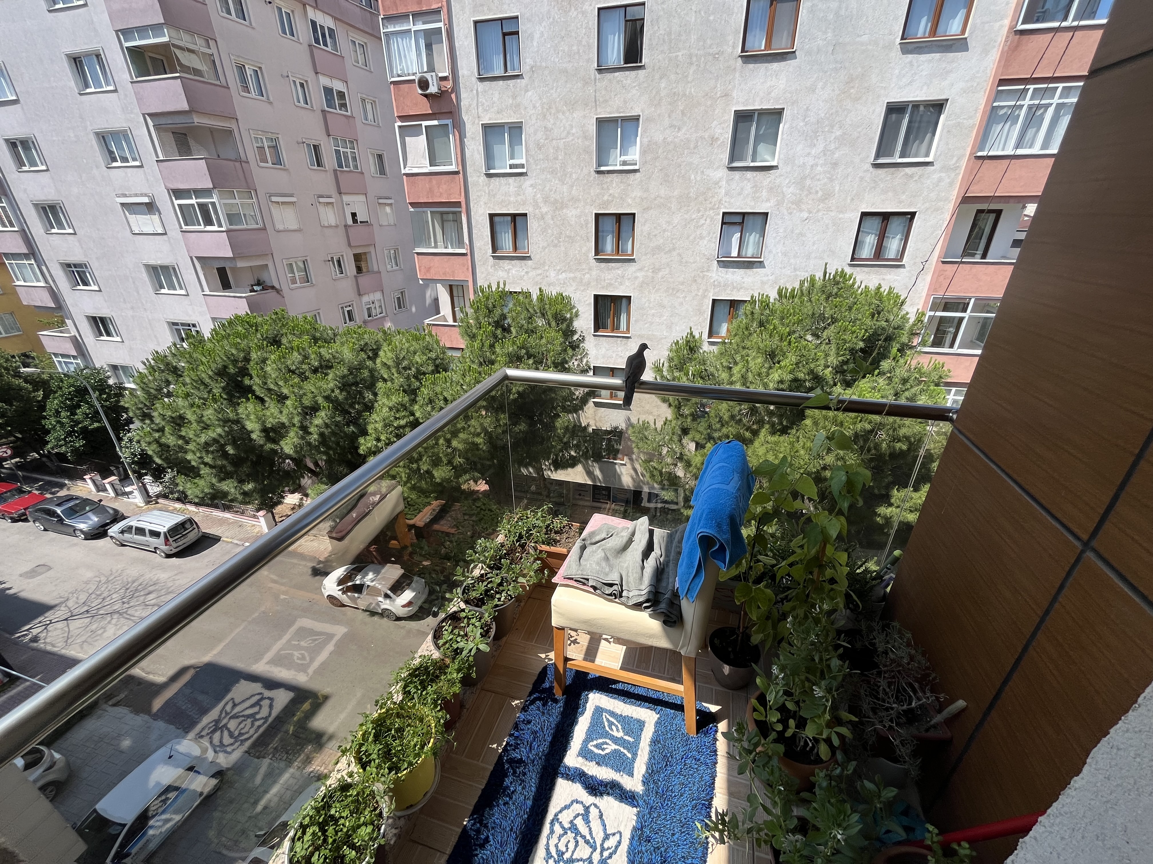 Property-photo