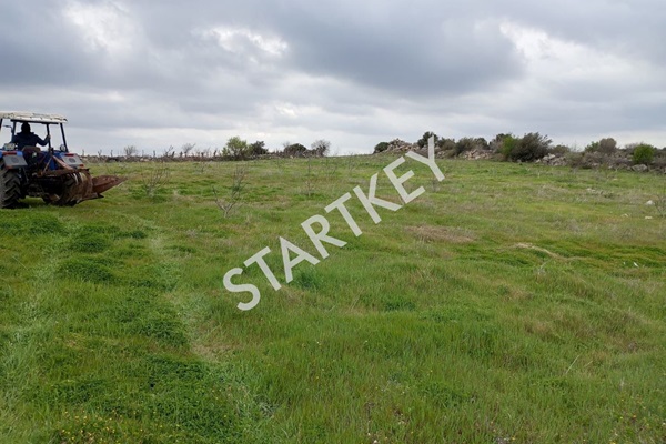 Property-photo