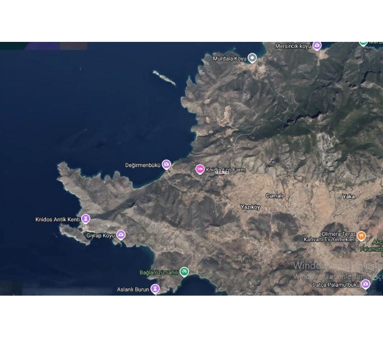 Datça Cumalı'da Satılık Fırsat Zeytinlik